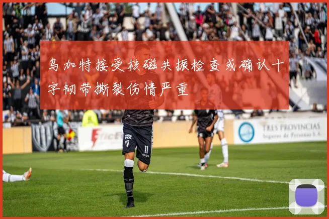 乌加特接受核磁共振检查或确认十字韧带撕裂伤情严重