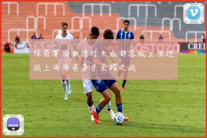 绿茵赛场激情对决成都蓉城主场迎战上海海港争夺荣耀之战